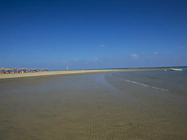 Lahami Bay Beach Resort & Gardens photo 3