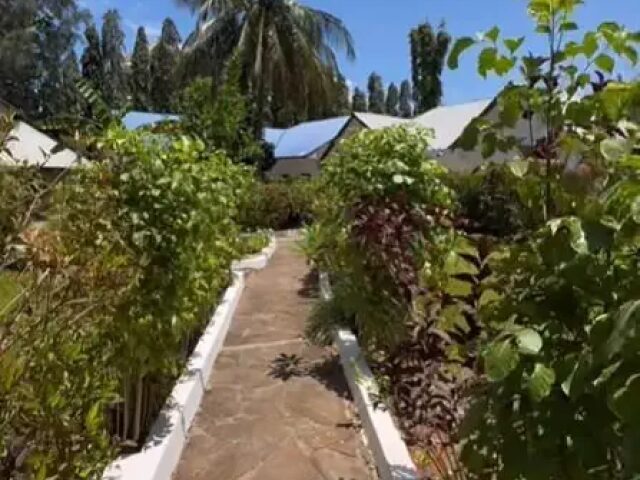 Kihori Nungwi Bungalows photo 1