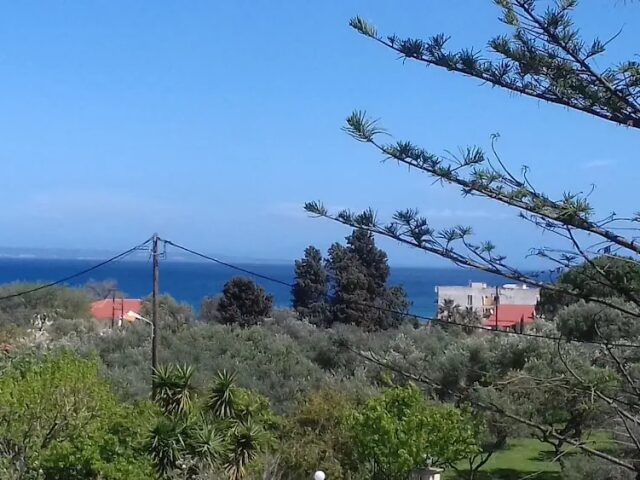 Contessa photo 3