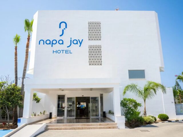 Napa Jay photo 2