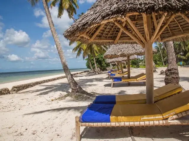 Antonio Beach Tree House Hotel & Spa photo 3