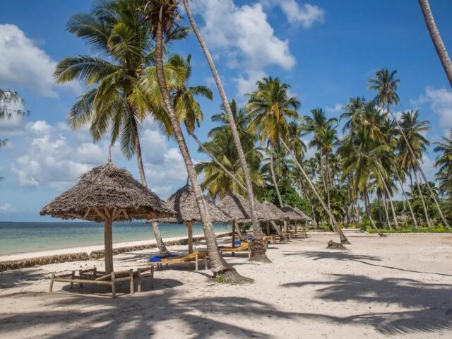 Antonio Beach Tree House Hotel & Spa photo 2
