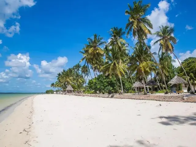 Antonio Beach Tree House Hotel & Spa photo 1