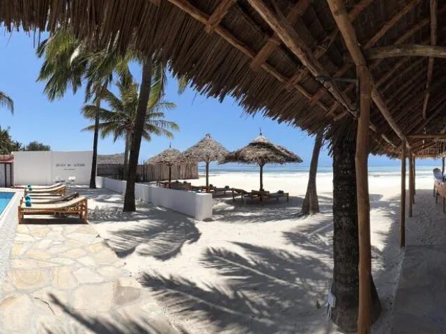 Bianco Azzurro photo 3