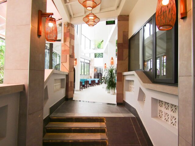 Haya photo 2