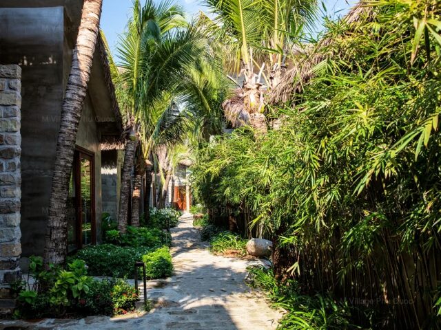 M Village Phu Quoc photo 1