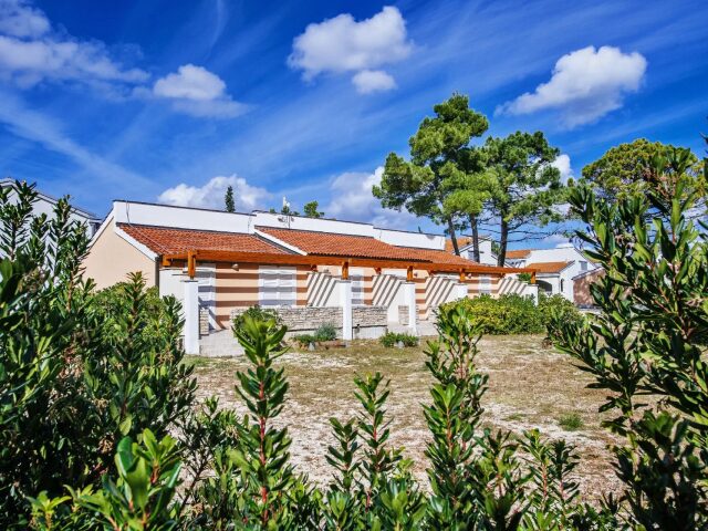 Zaton Holiday Resort 4* photo 2