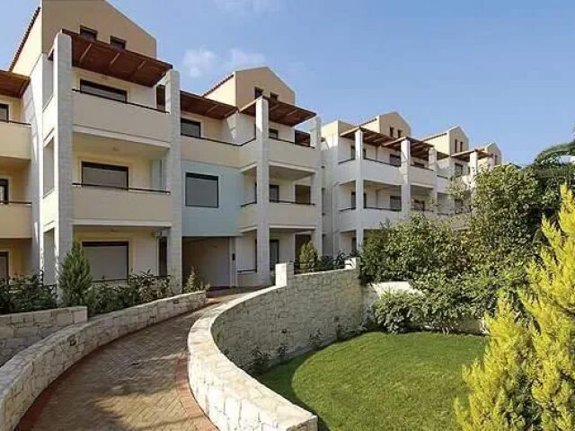 Creta Palm