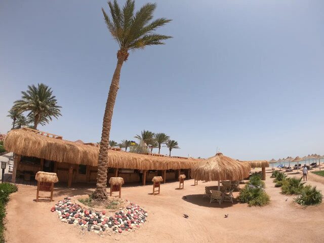 Royal Regency Club photo 2