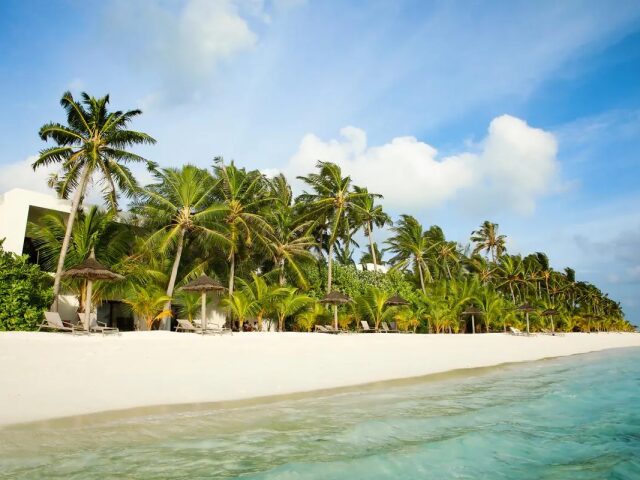 Riu Palace Maldives photo 0