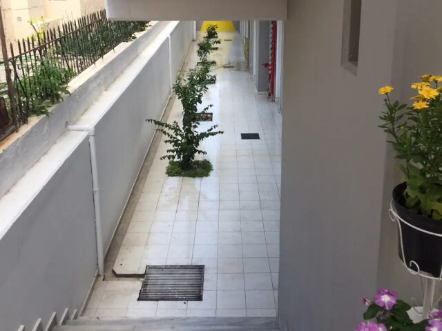 Alkyonides photo 3