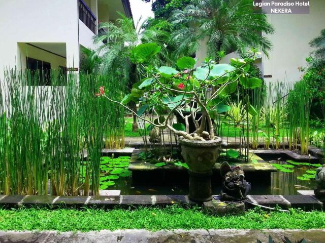 Legian Paradiso photo 2