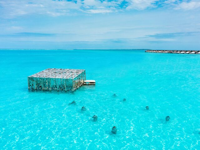 Sirru Fen Fushi Private Lagoon Resort photo 2