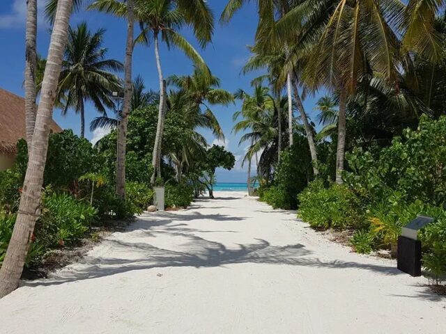 Cinnamon Velifushi Maldives photo 2