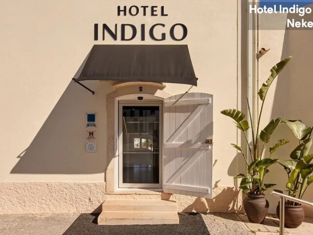 Indigo photo 1