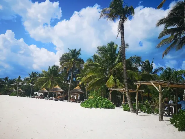 Varadero Zanzibar photo 0