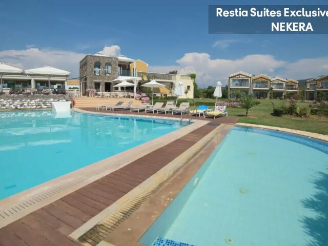 Restia photo 3