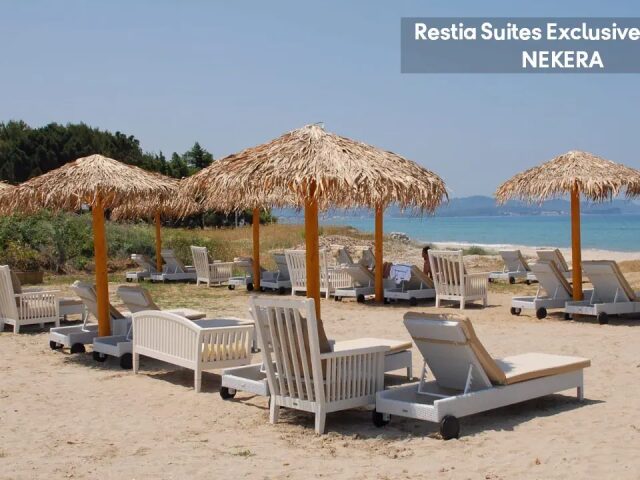 Restia photo 1