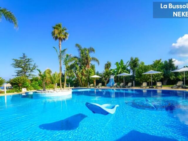 La Bussola photo 3