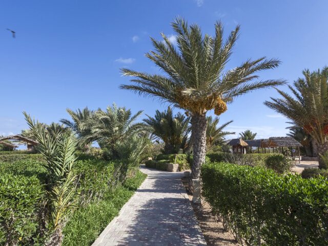 Seabel Rym Beach Club photo 0