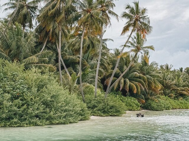Rahaa Resort photo 1