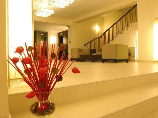 HVD Lotos photo 3