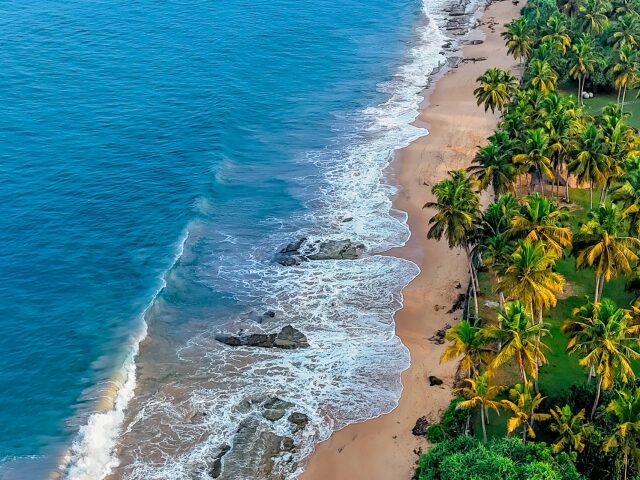 Sheraton Kosgoda Turtle Beach Resort photo 3