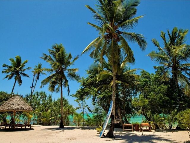 Tikitam Palms Boutique