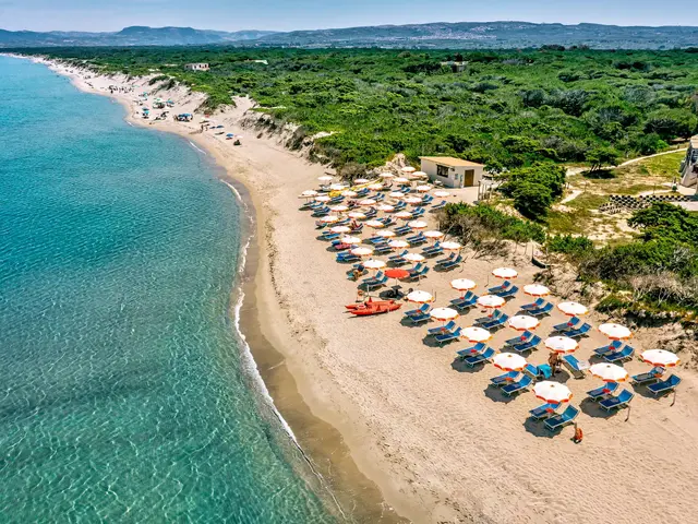 MClub Del Golfo photo 1