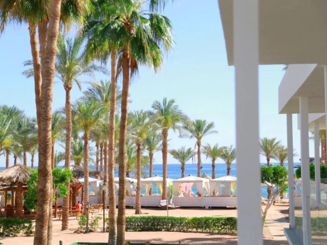Seti Sharm Palm Beach Resort photo 0