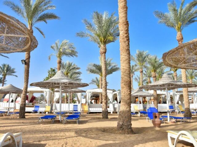 Seti Sharm Palm Beach Resort photo 2
