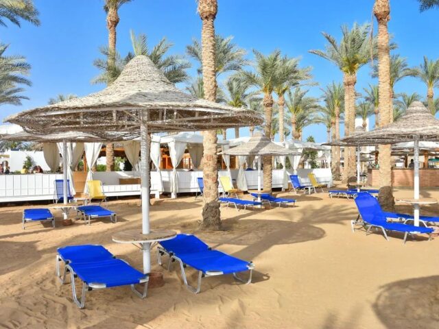 Seti Sharm Palm Beach Resort photo 1