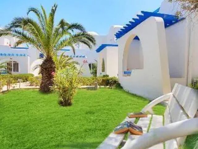 Zenon Djerba photo 2