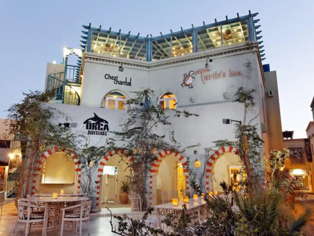 Turtles Inn