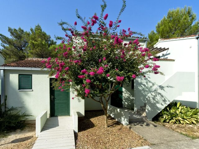 Zaton Holiday Resort 3* photo 3