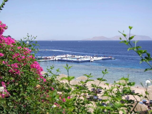 Domina Coral Bay Elisir photo 1