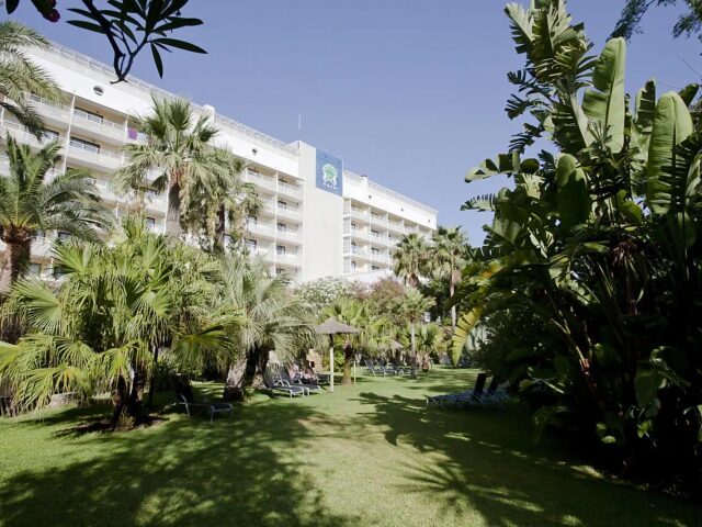 Bahia de Alcudia photo 2