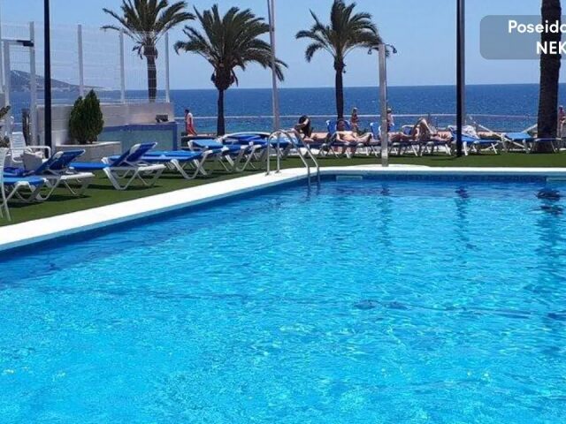 Poseidon Playa photo 2