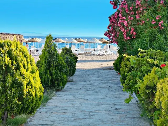 Bendis Beach photo 0