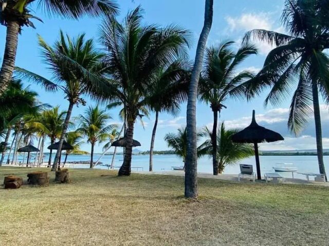Jalsa Beach Hotel & Spa photo 3