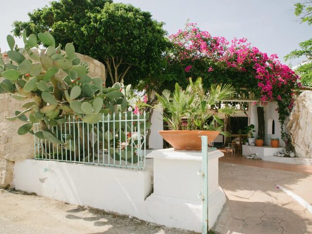 Gorgona photo 0