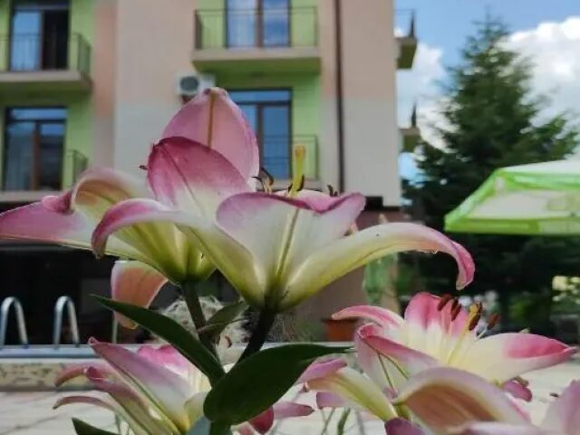 Hotel 415 photo 2