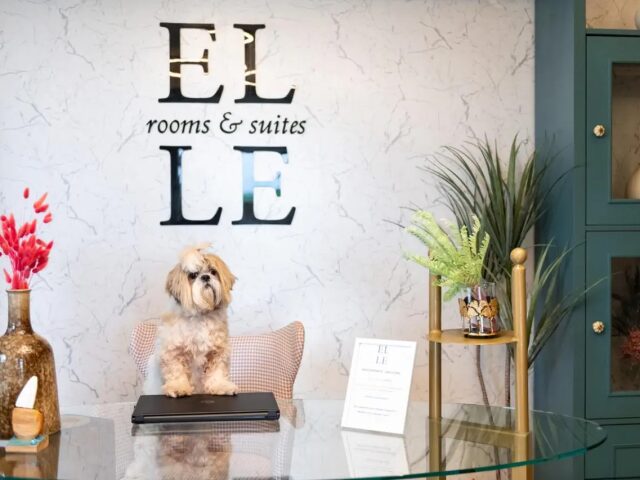 ELLE Rooms & Suites photo 3