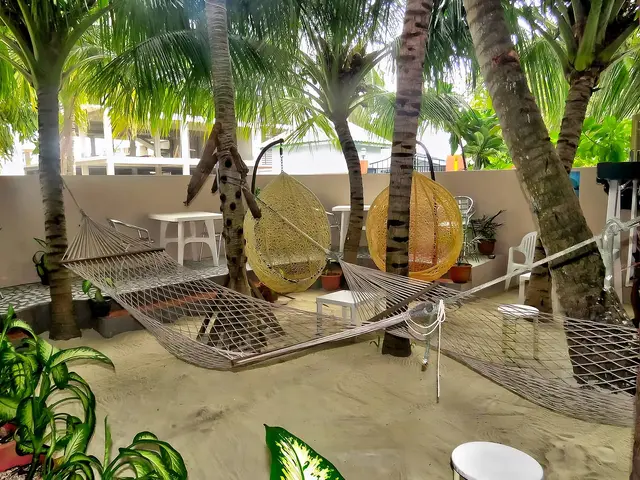 Stingray Beach Inn photo 3