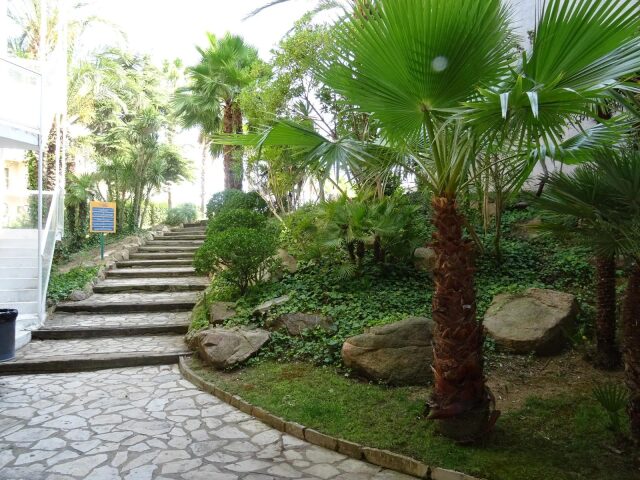 AR Bolero Park photo 3