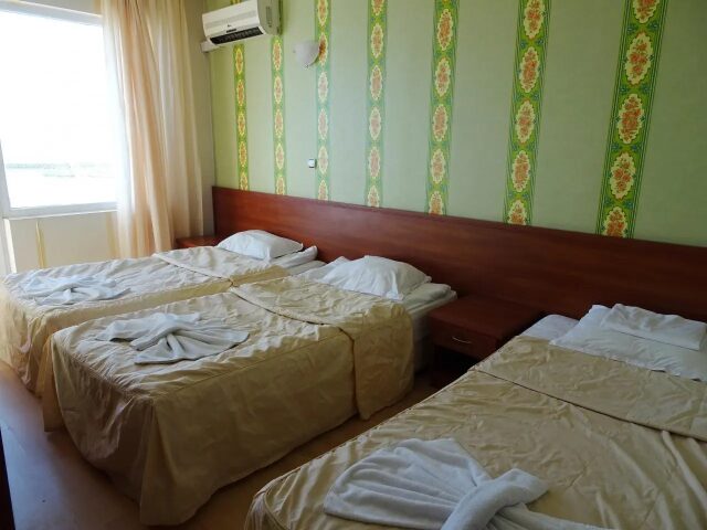 Lotos photo 1