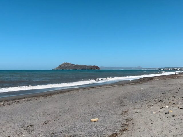Venus Beach photo 1