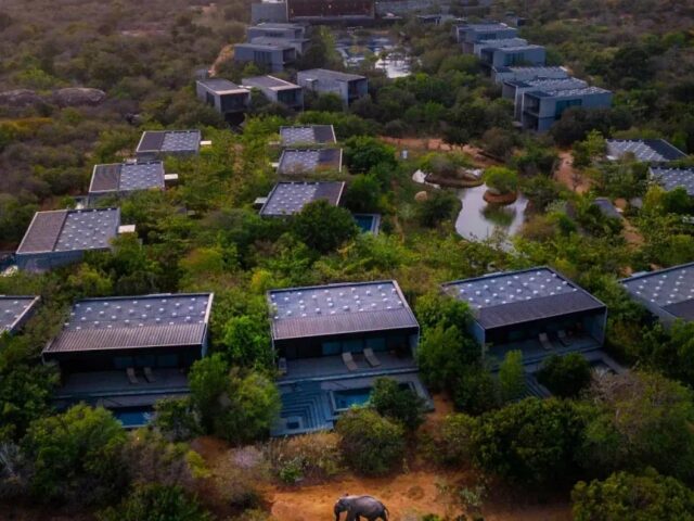 Hilton Yala Resort photo 1