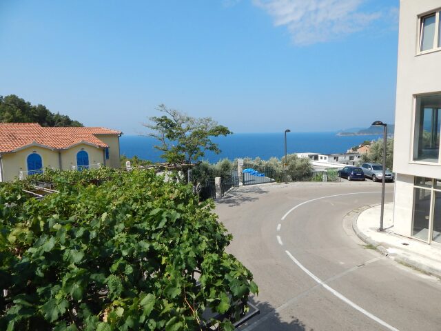 Eleven photo 2
