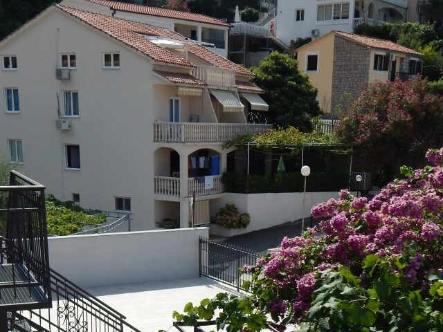 Eleven photo 3